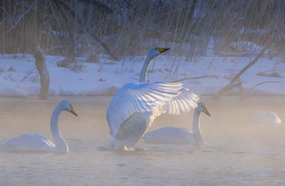 Photograph by Дмитрий Юдин