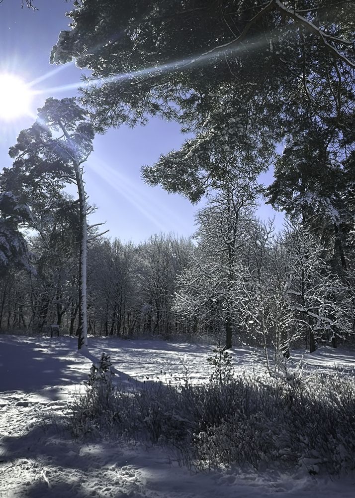 Photograph by Елена Болдырева