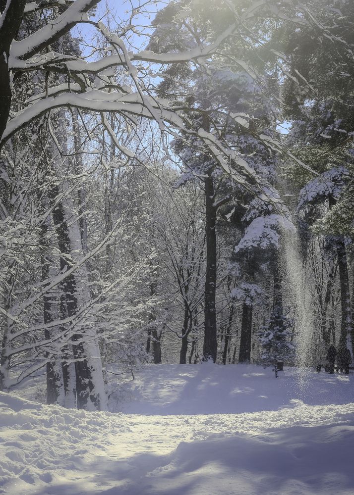 Photograph by Елена Болдырева