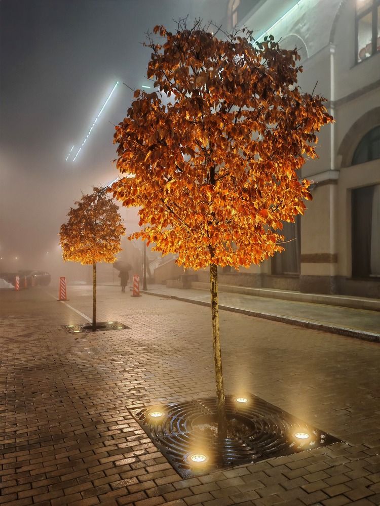 Photograph by Валерий Одинцов