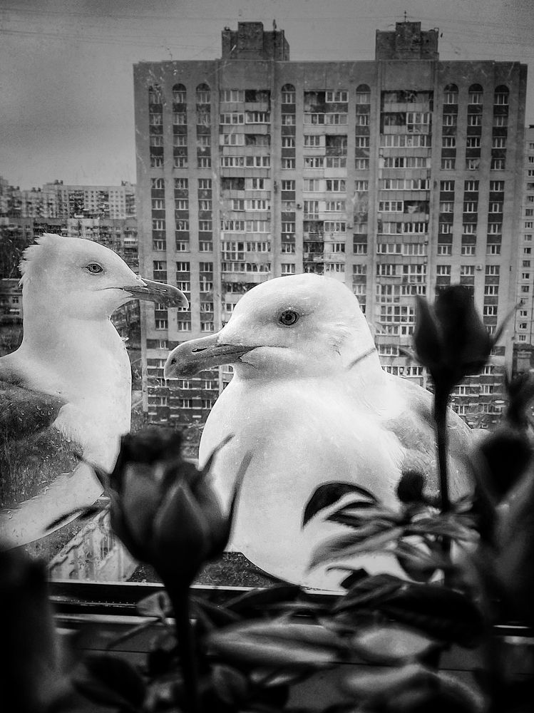 Photograph by Ольга Атаева