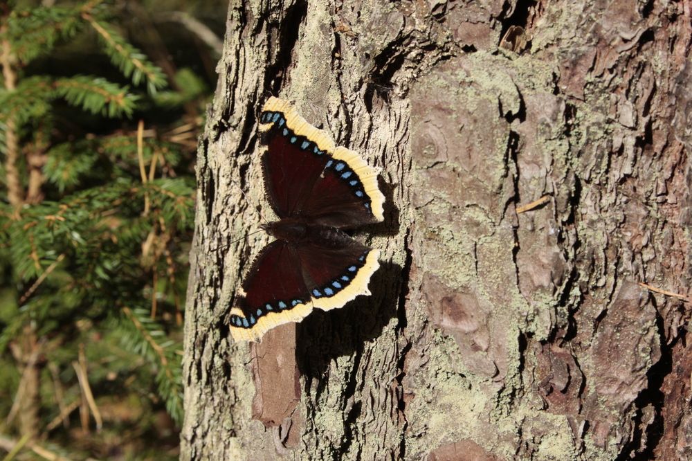 Photograph by Юлия