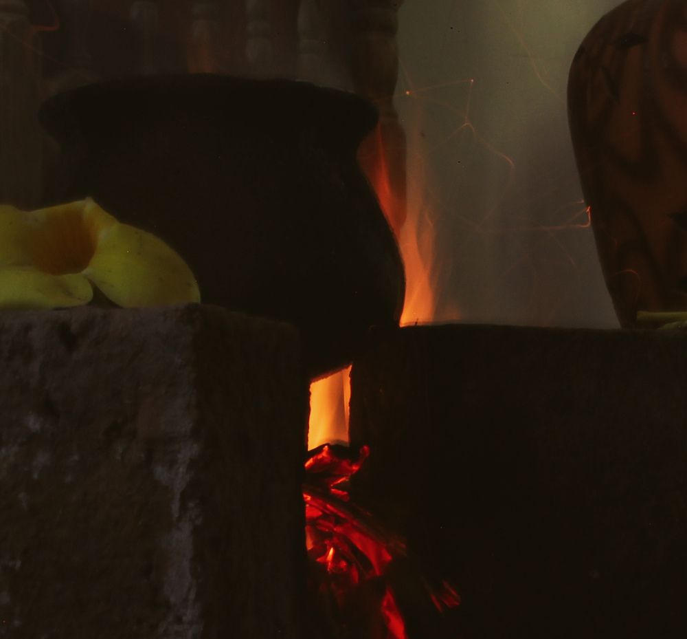 Photograph by Dewindu H. Fernando