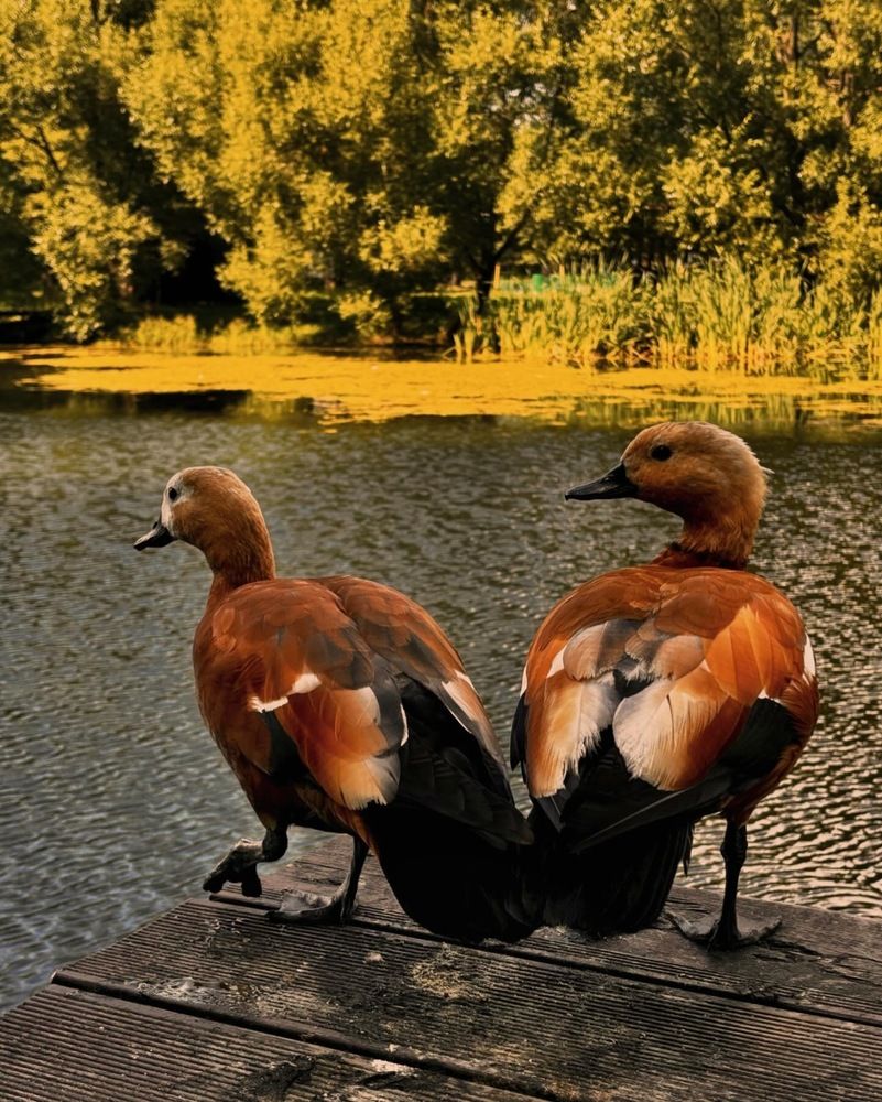 Photograph by Евгений Никонов