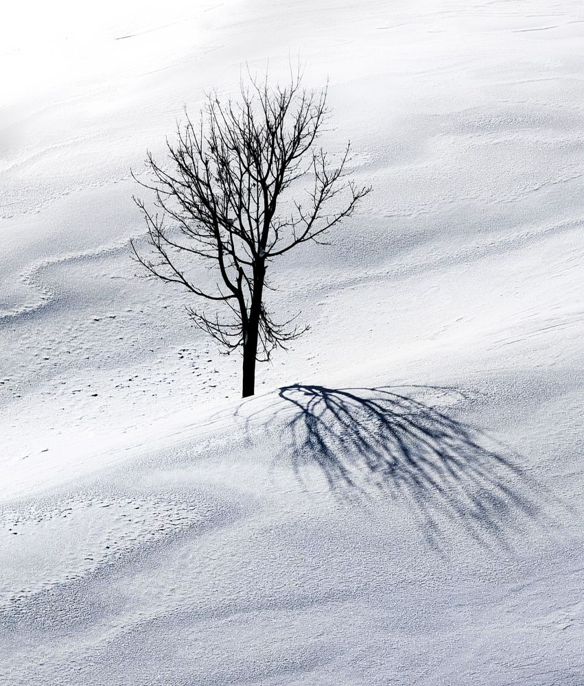Одиночество