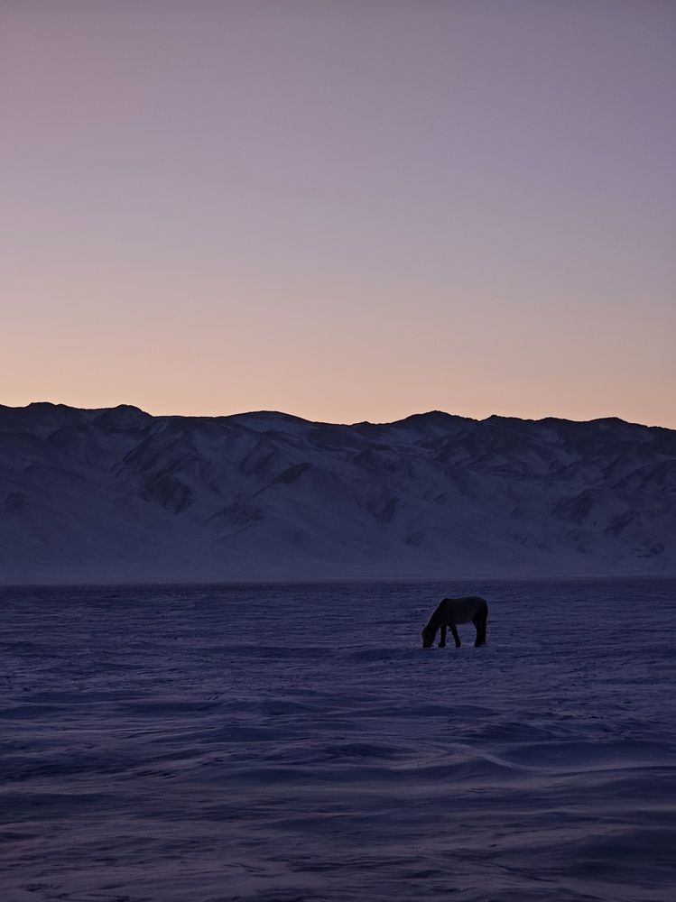 Mogolian Sunset