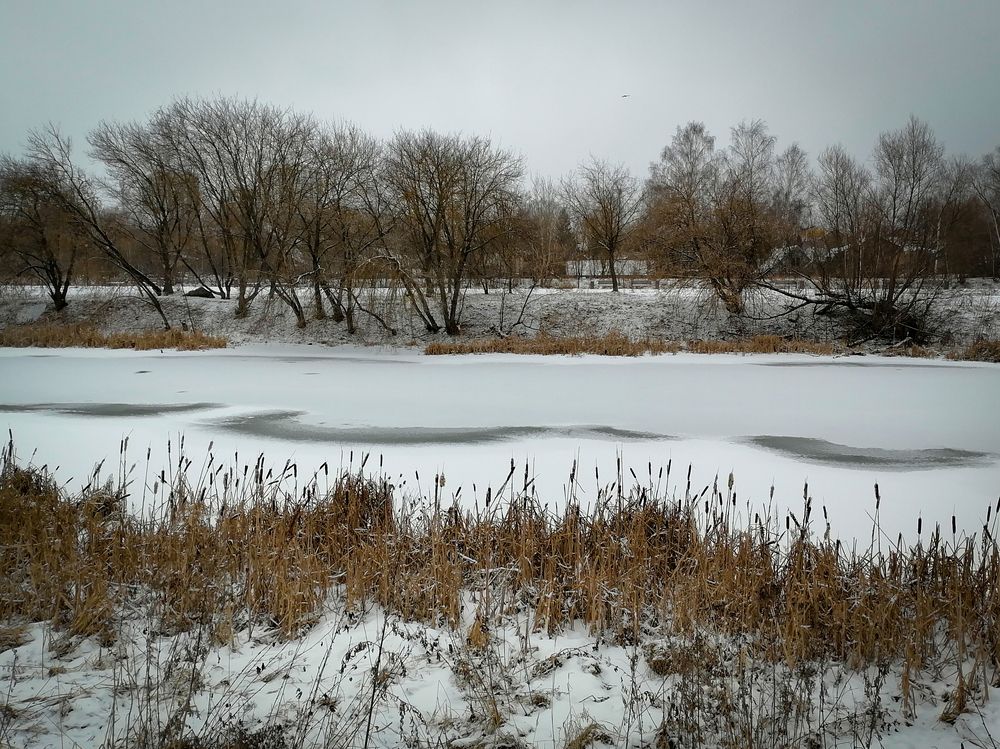 Photograph by Ксения Мельникова