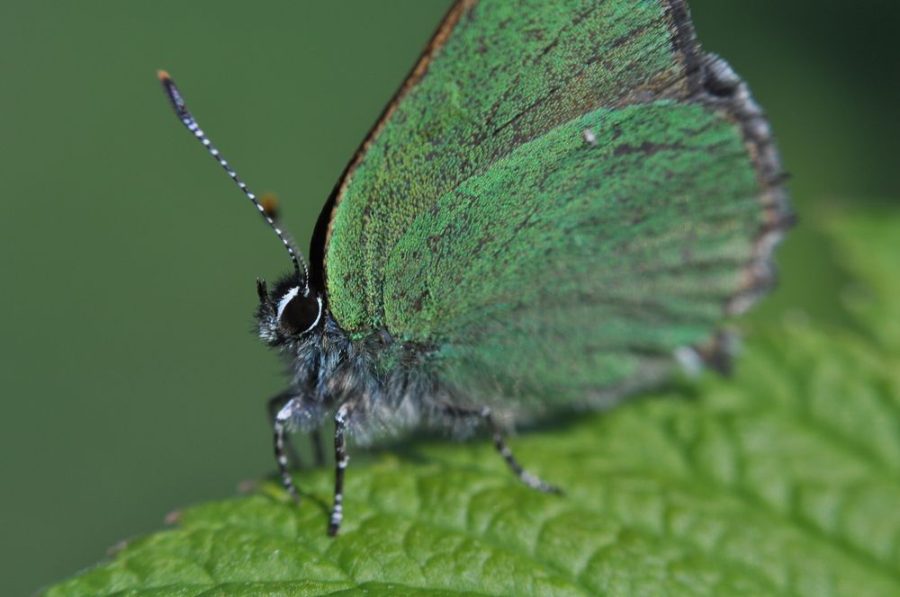 Photograph by Игорь Двойных