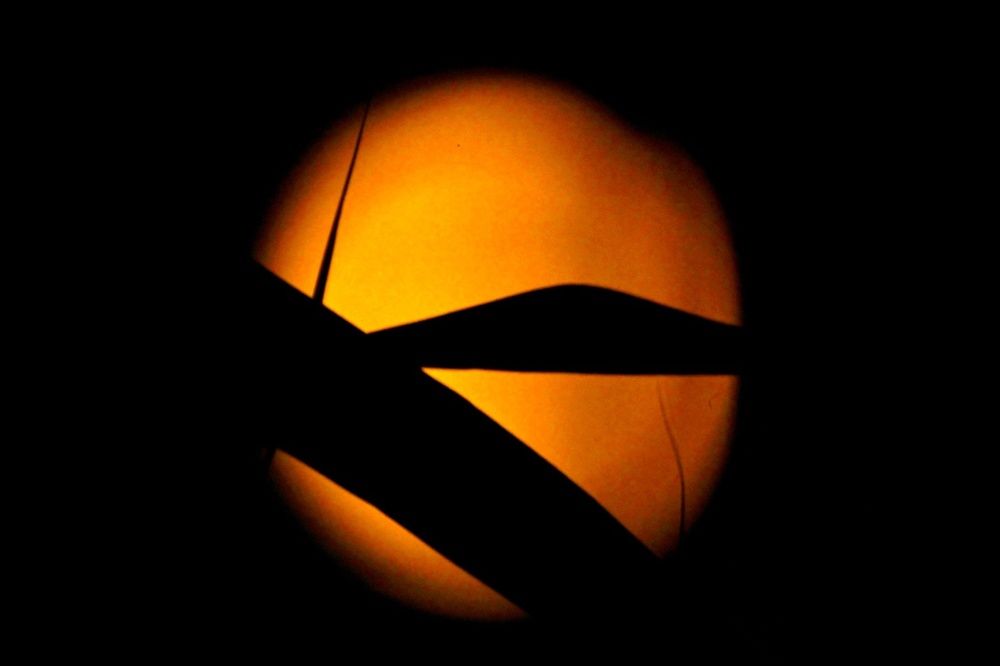 Просто Космос