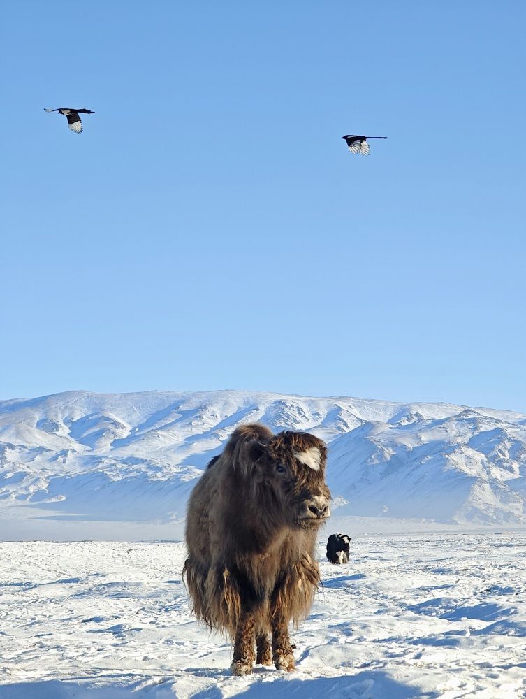 Фотография автора Sơn Tùng Nguyễn