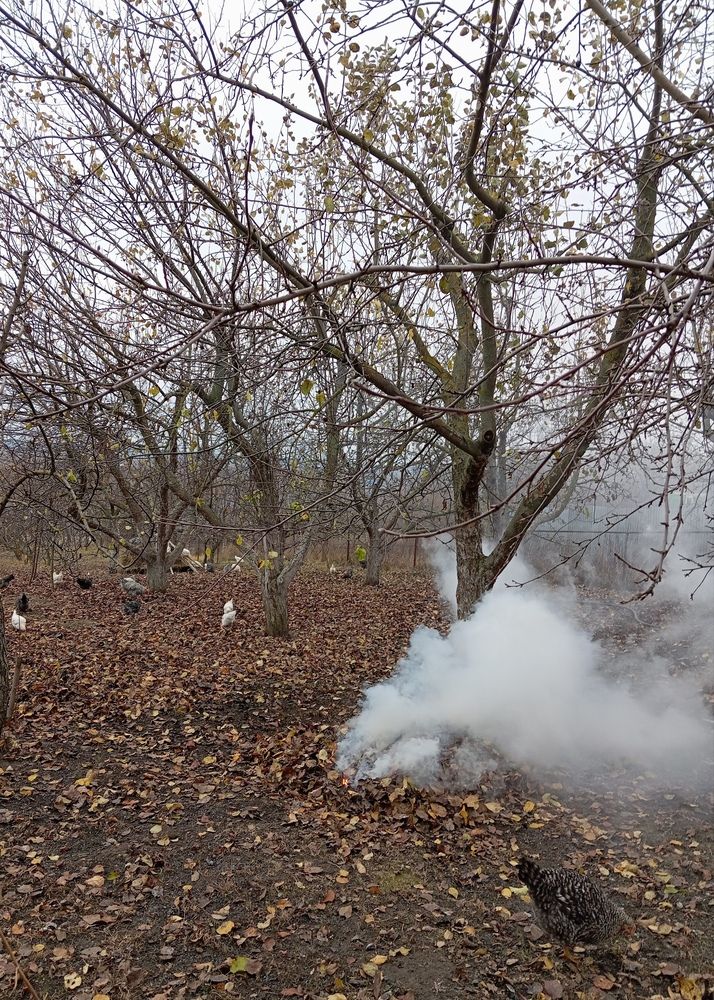 Photograph by Елена Коробченко