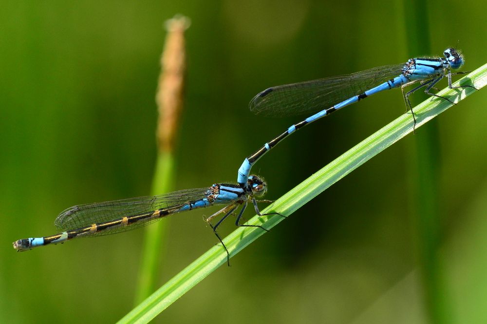 Photograph by Игорь Двойных