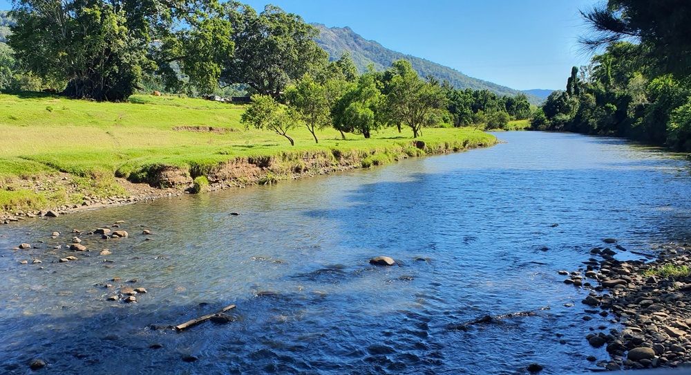 Фотография автора Priscilla Niranjan