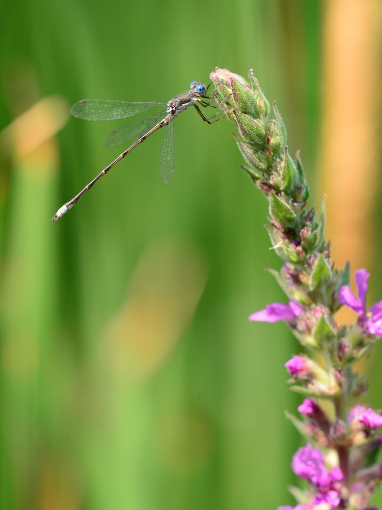 Photograph by Игорь Двойных