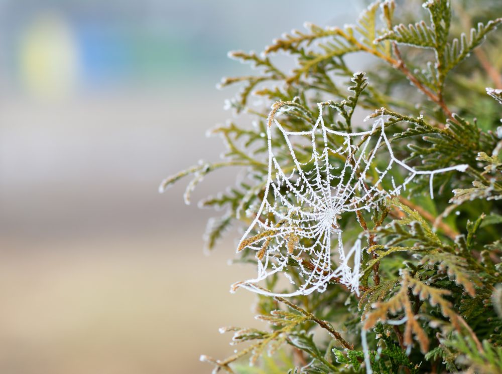 Photograph by Agita Leimane