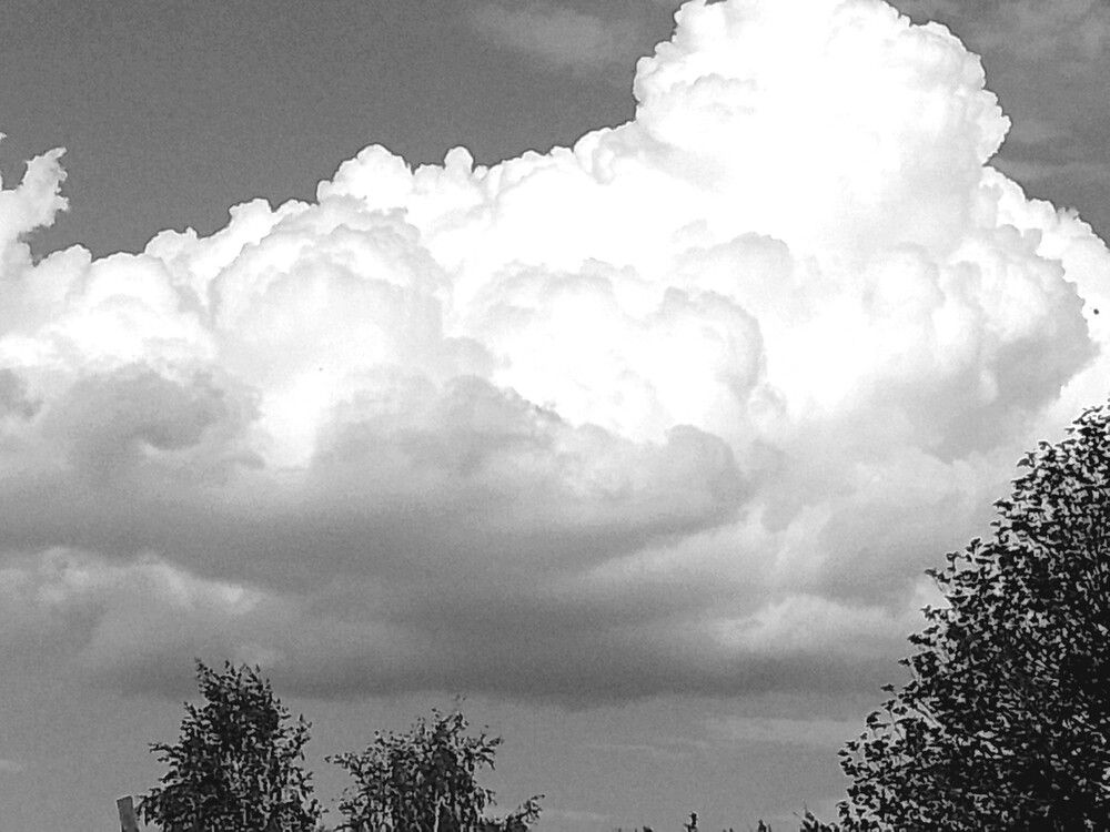 Фотография автора Светлана