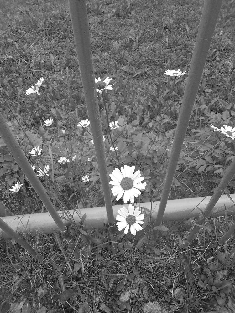 Фотография автора Светлана