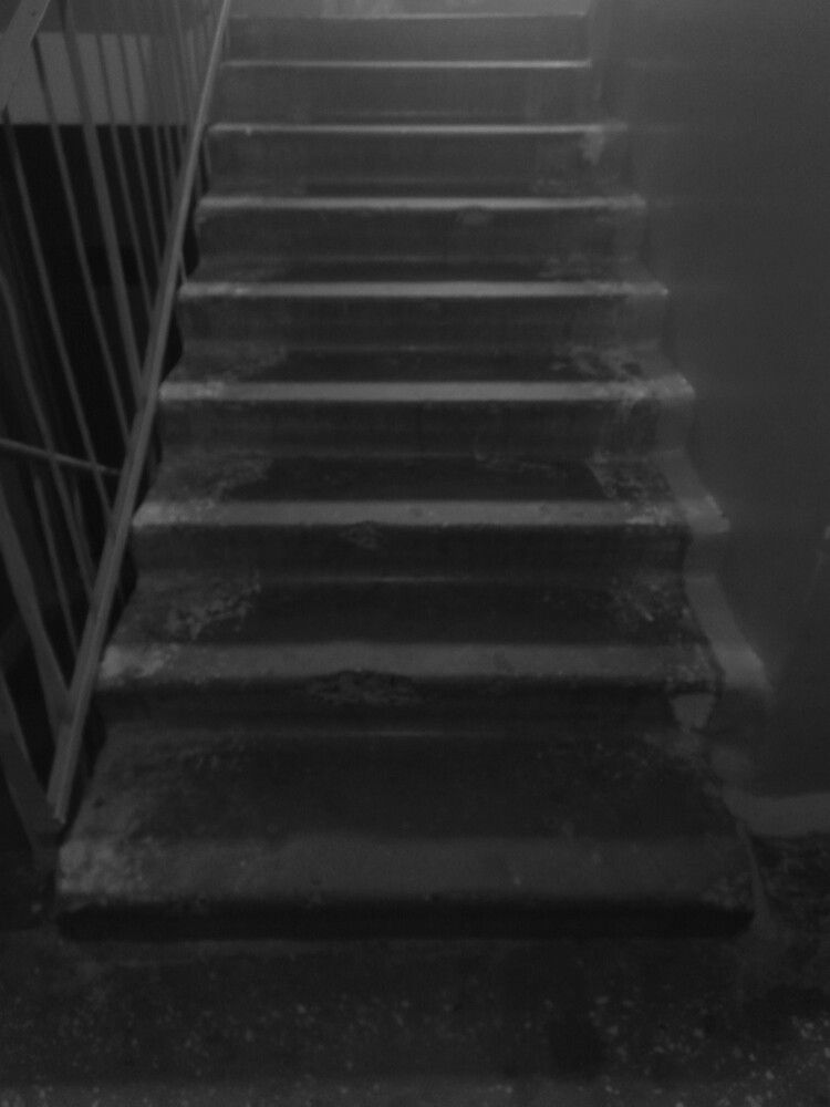 Фотография автора Светлана