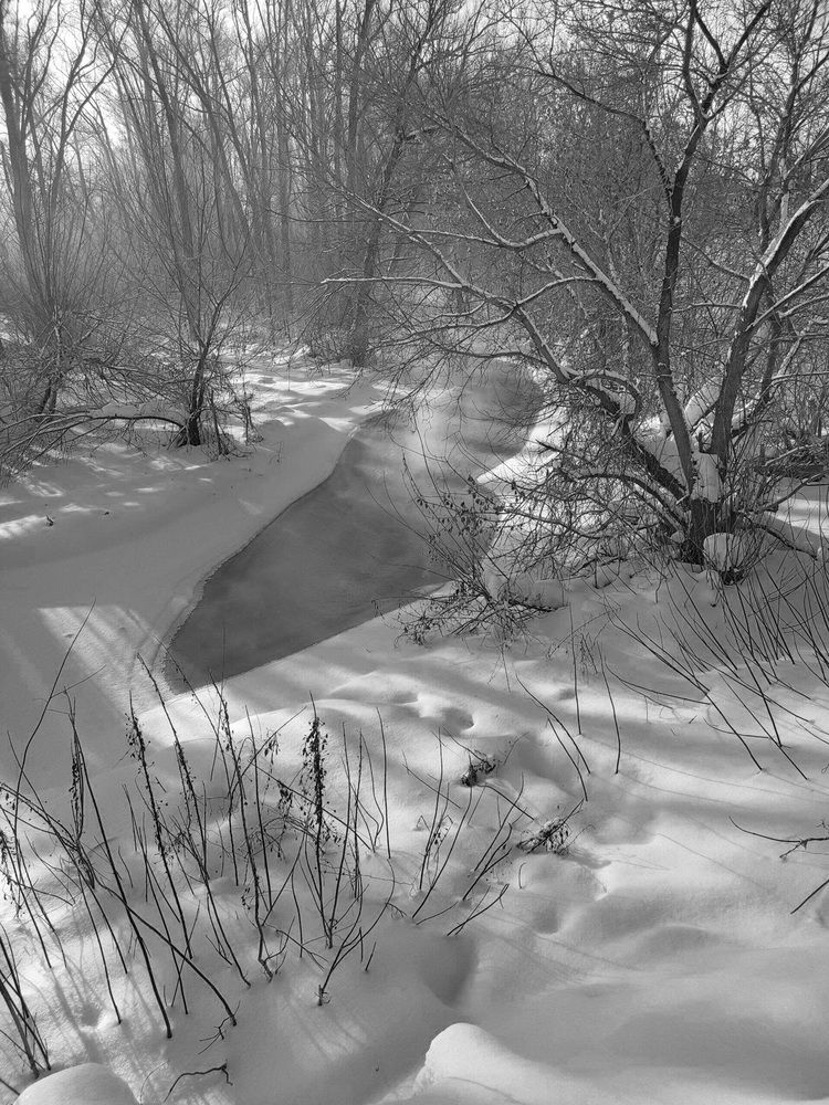 Photograph by Ирина Яук