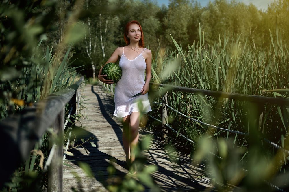 История одного арбуза (The story of a watermelon)