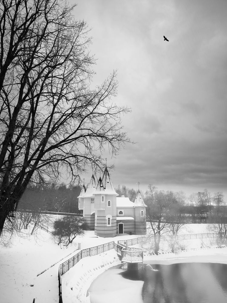 Photograph by Andrey Anikanov