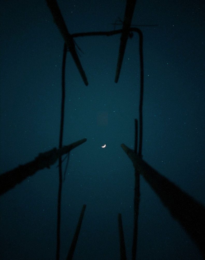 Photograph by Adel Sami