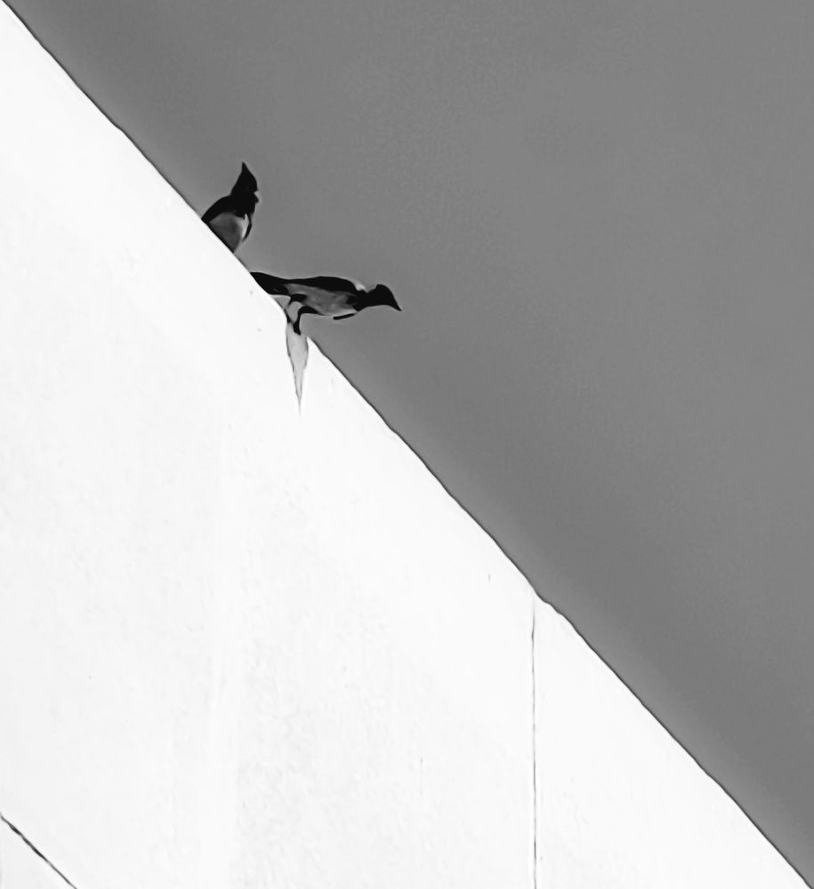 Photograph by Adel Sami