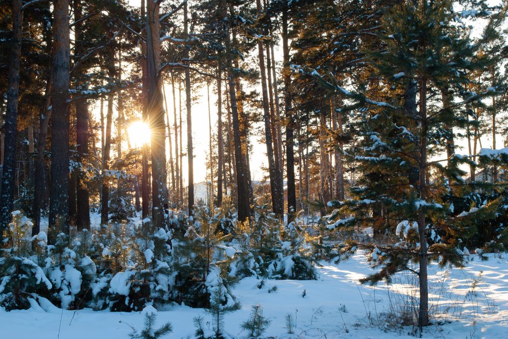 Фотография автора Виктория Астахова
