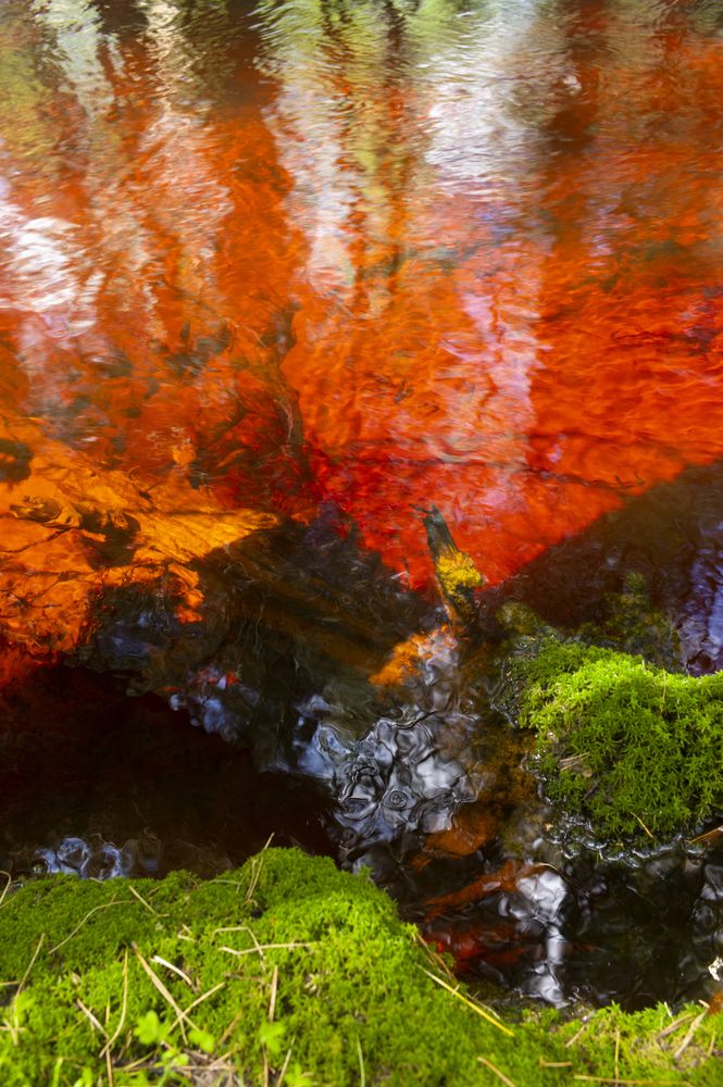 Photograph by Михаил Дронов