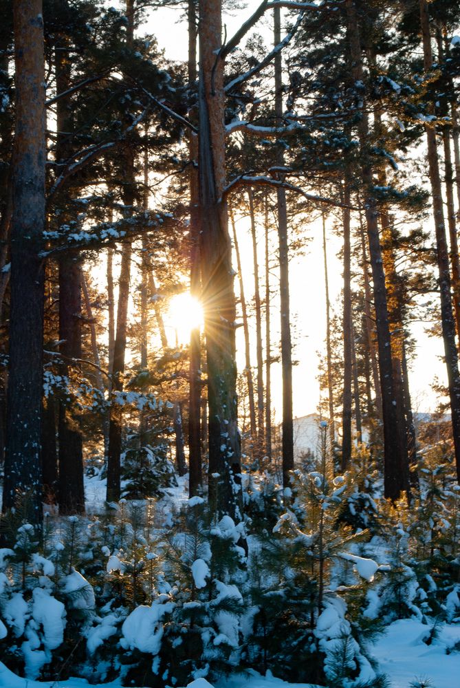 Фотография автора Виктория Астахова