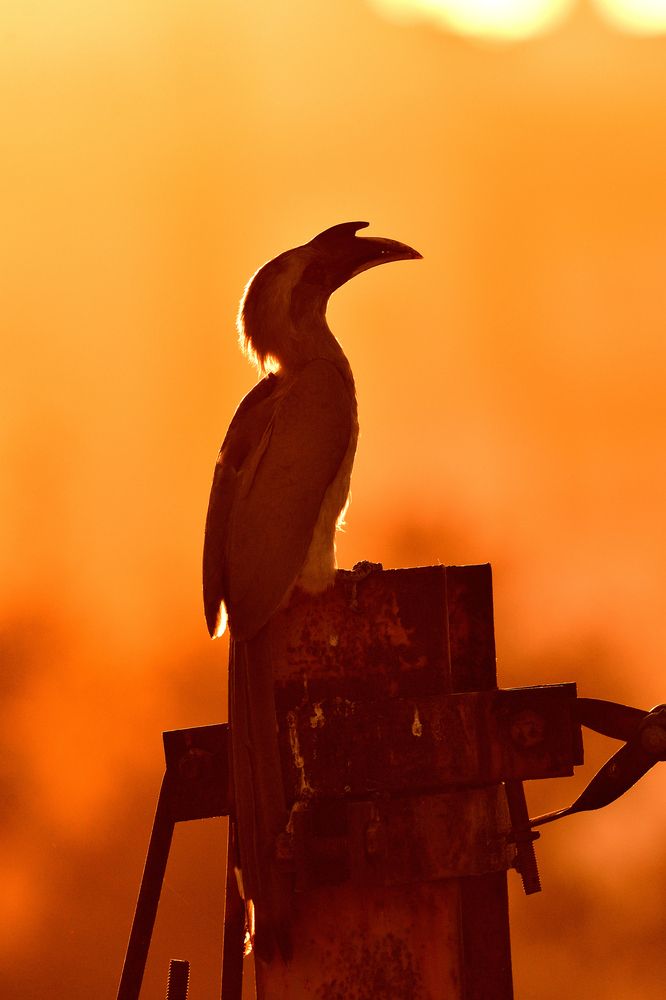 Photograph by Ramanuj Pandey