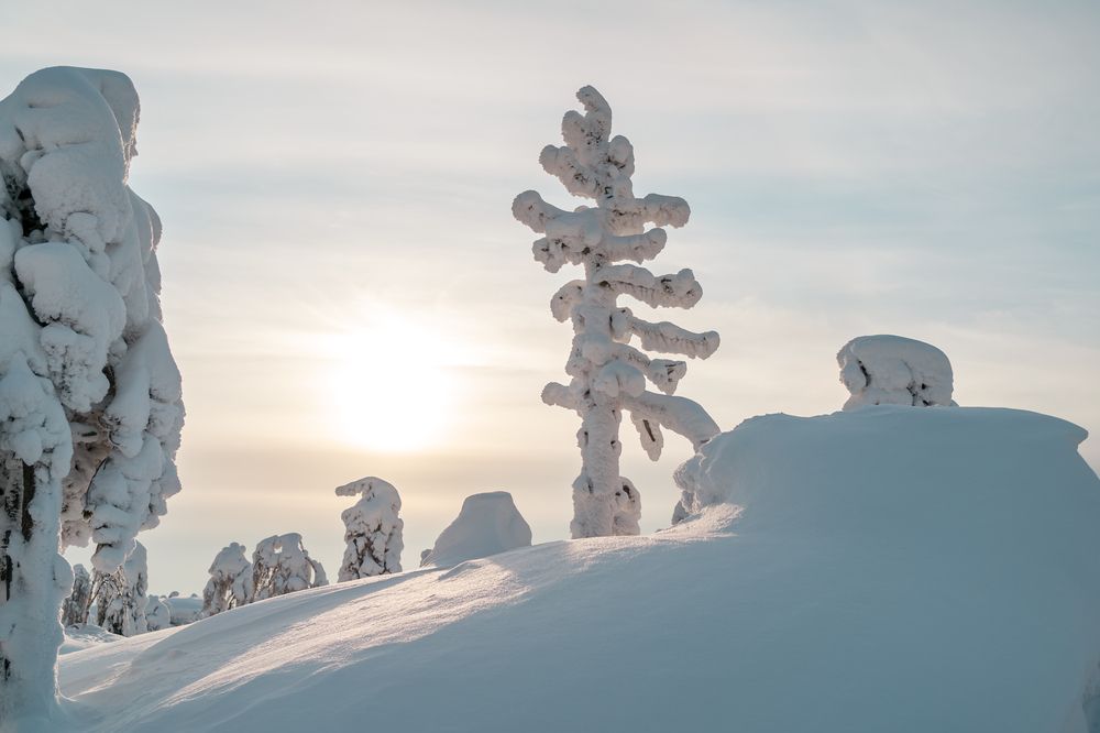 Photograph by Варвара