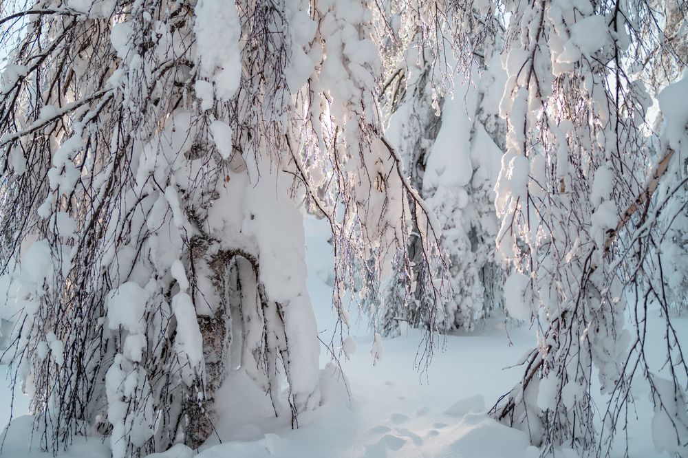 Photograph by Варвара