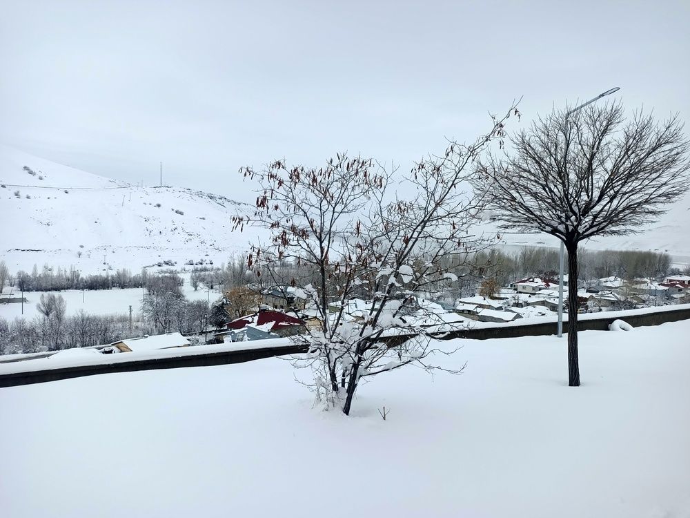 Photo #11906419