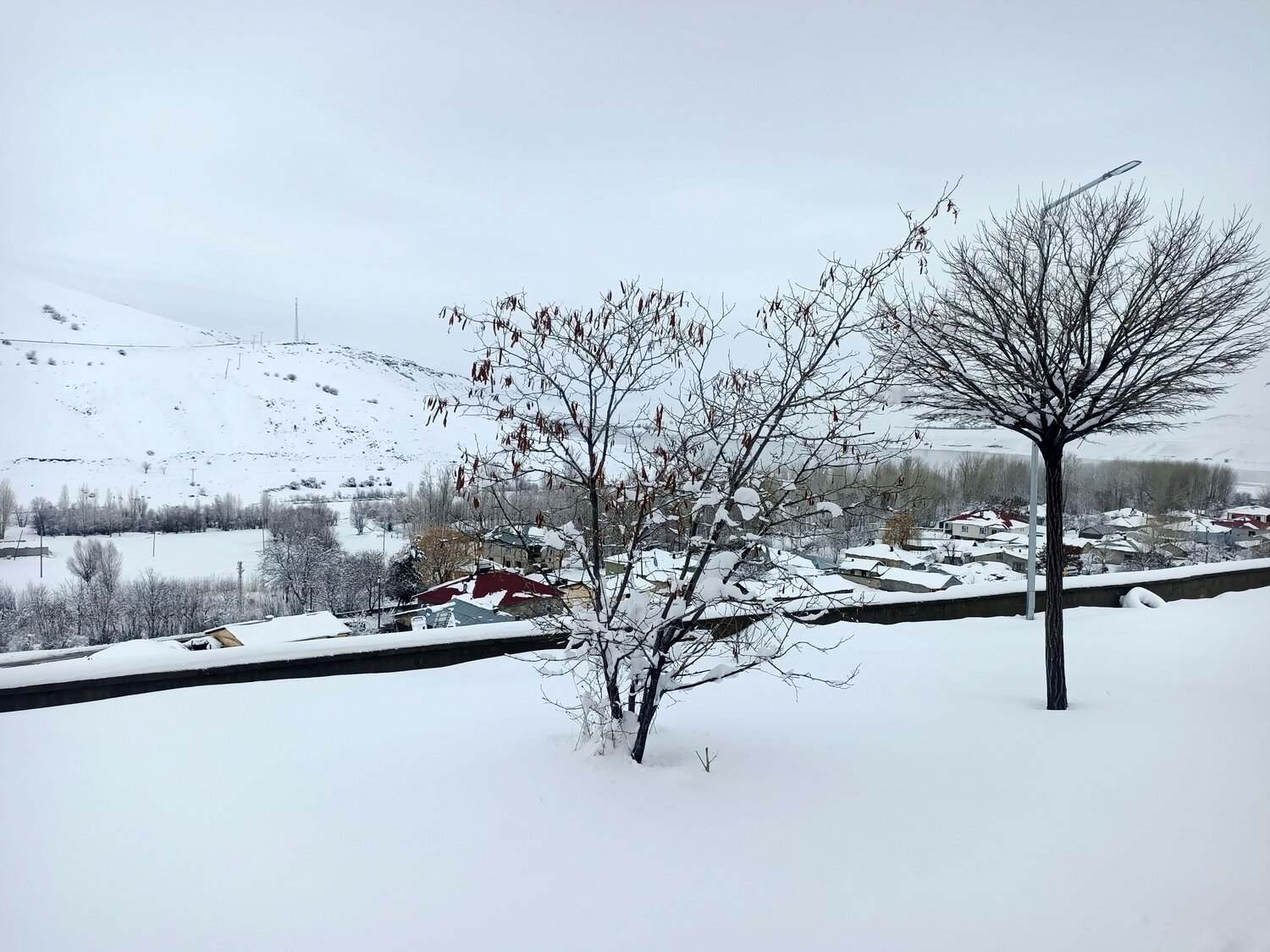 Photo #11906419
