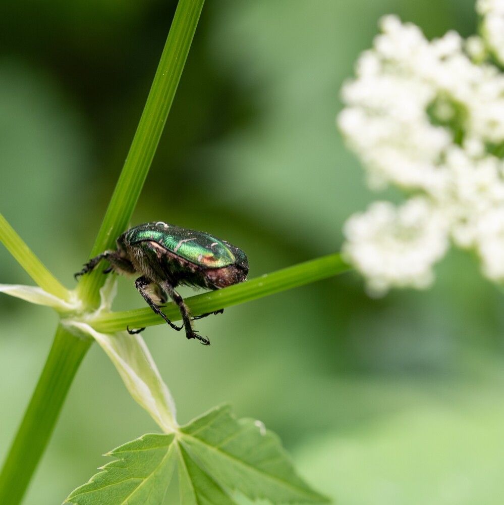 Photograph by Ксения Шилина