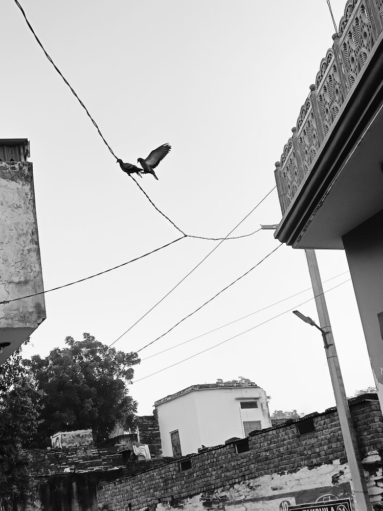 Photograph by Rohit Kumar