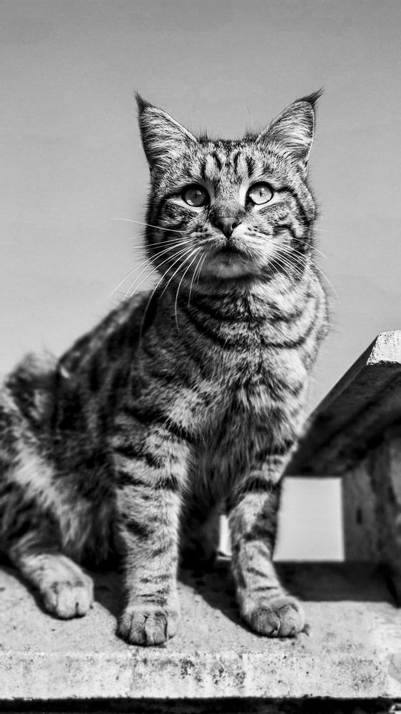 Фотография автора Олеся Лукьяненко