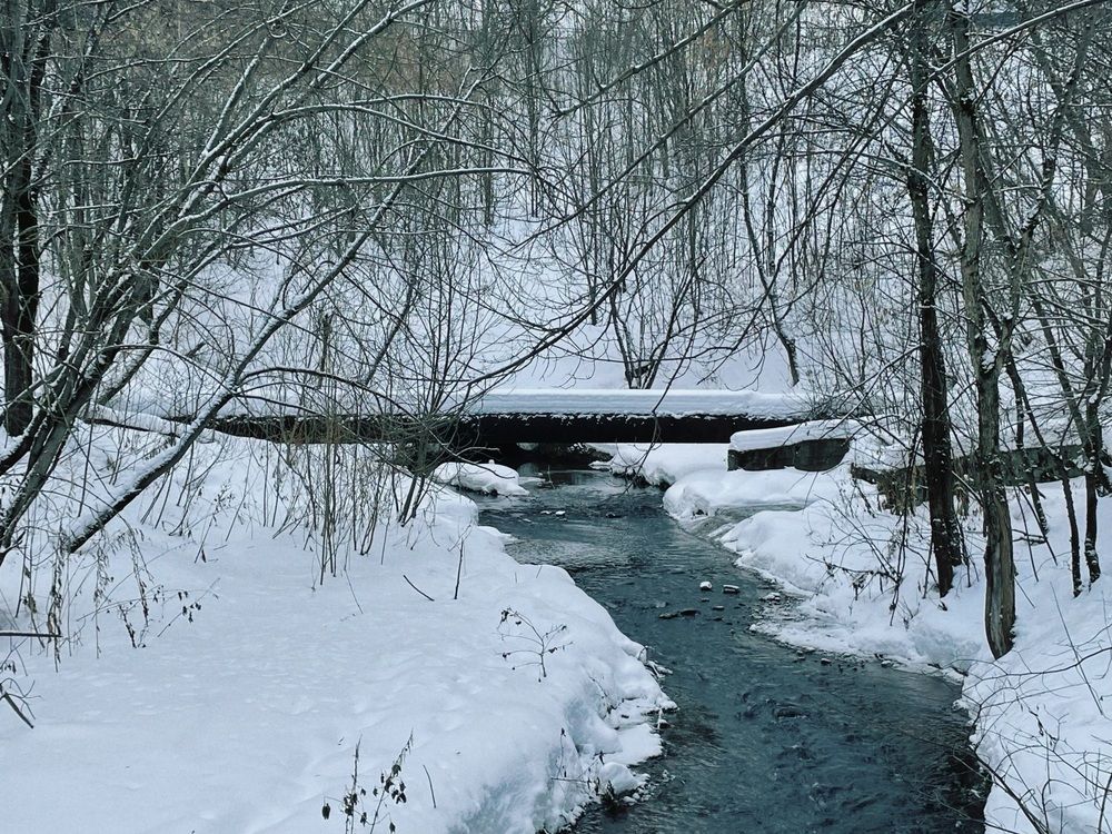 Photograph by Лада Сартакова