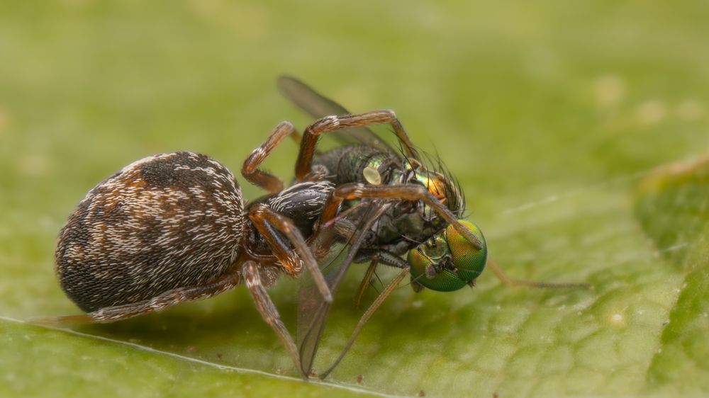 Photograph by heymans Tiffany