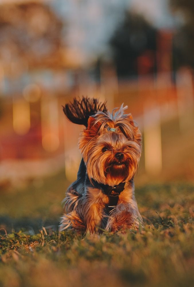 Photograph by Юлия Майорова