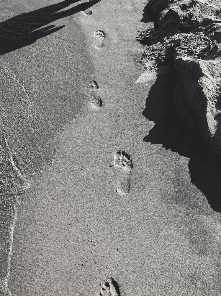 Фотография автора Мария Семенова