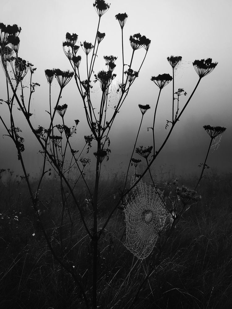 Photograph by Ольга Мартьянова