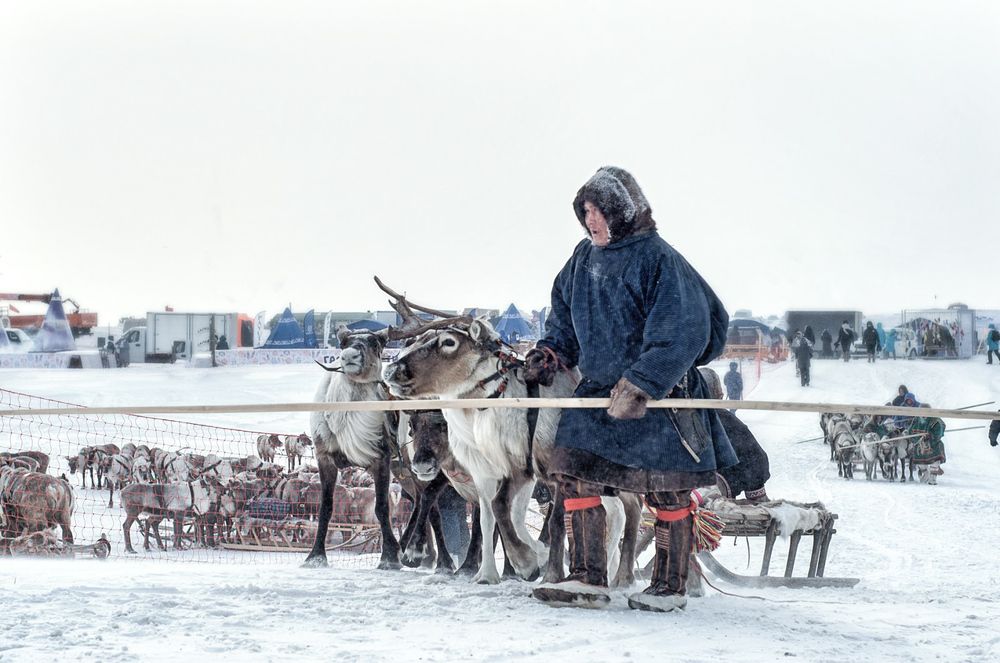 Photograph by Анна Орманжи