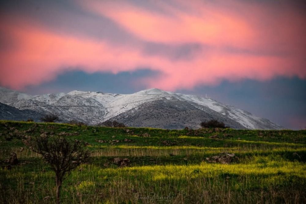 Photograph by Алекс Гейнер