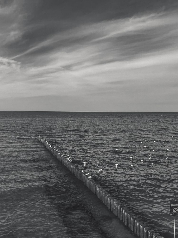 Фотография автора Мария Семенова