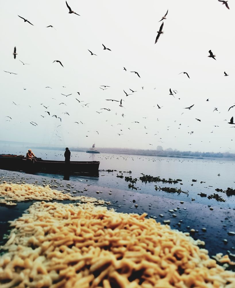 Photograph by Rohit Kumar