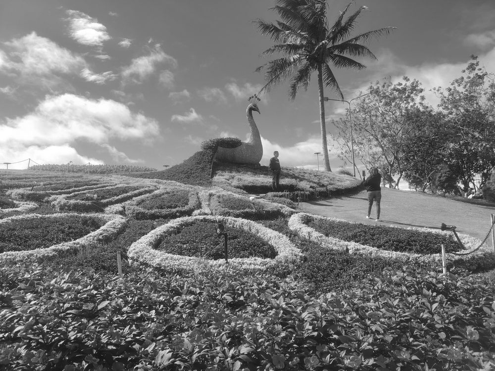 Photograph by Mariel Ancero Masgad