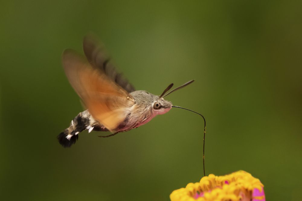 Photograph by Nihan Bayındır