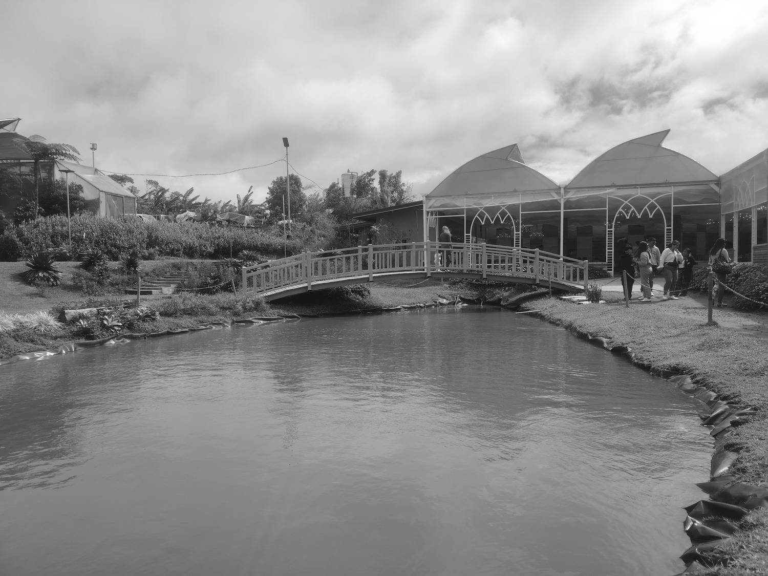 Photo #11906567